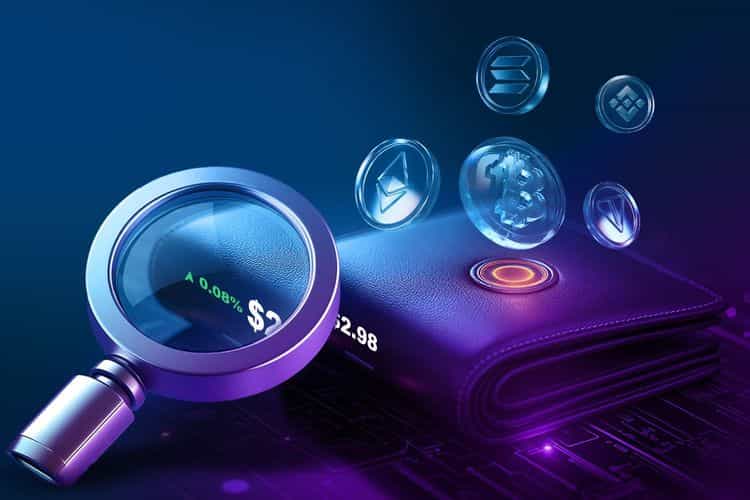 Digital crypto wallet with a magnifying glass analyzing value and floating cryptocurrency icons including Bitcoin, Ethereum, Solana, Binance Coin, and others.